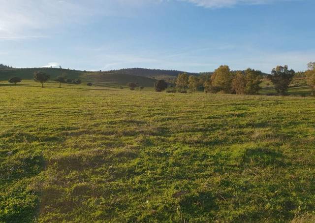 Terreno en Alquiler en Cehegín