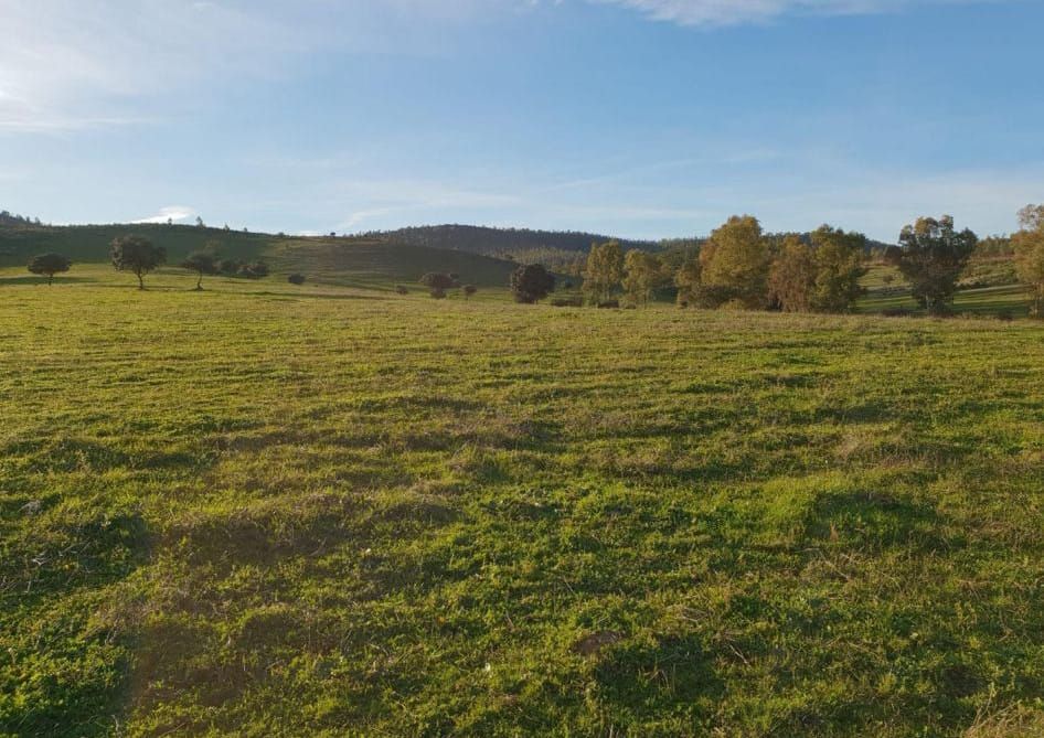 Grundstücke zur Miete in Cehegín