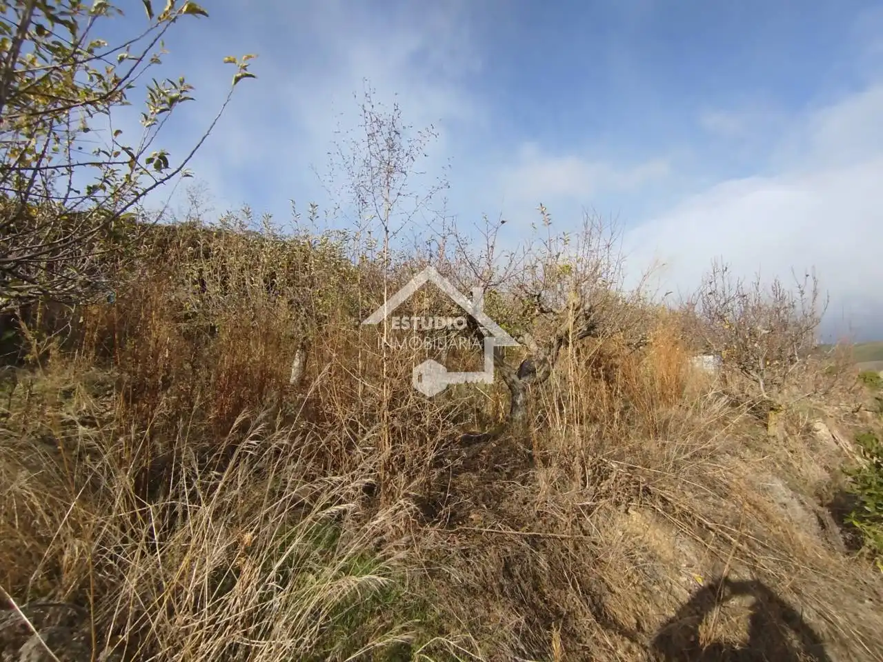 Rural land for sale in Calle Arbanta, imagen 28