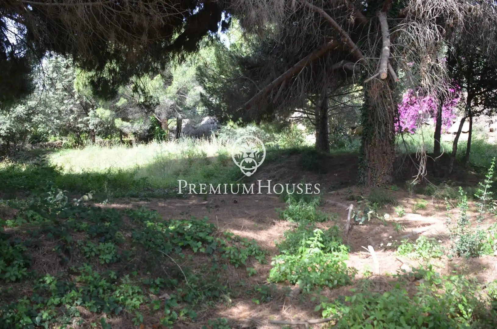 Residential land for sale in Cabrera de Mar, imagen 16