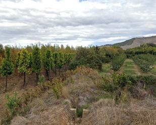 Terreny en venda en Morata de Jiloca