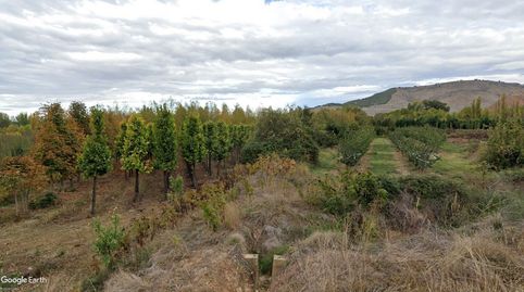 PARCELA REGADÍO, RECREO