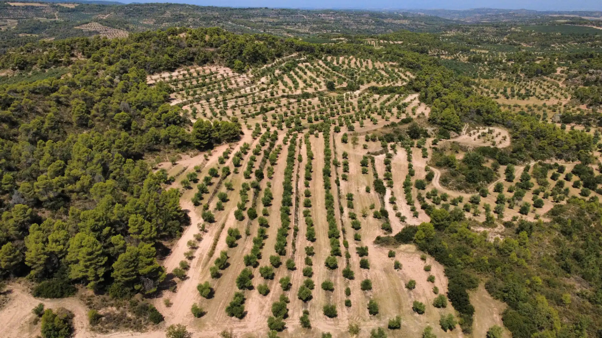 Terreno en venta en Cervià de Les Garrigues