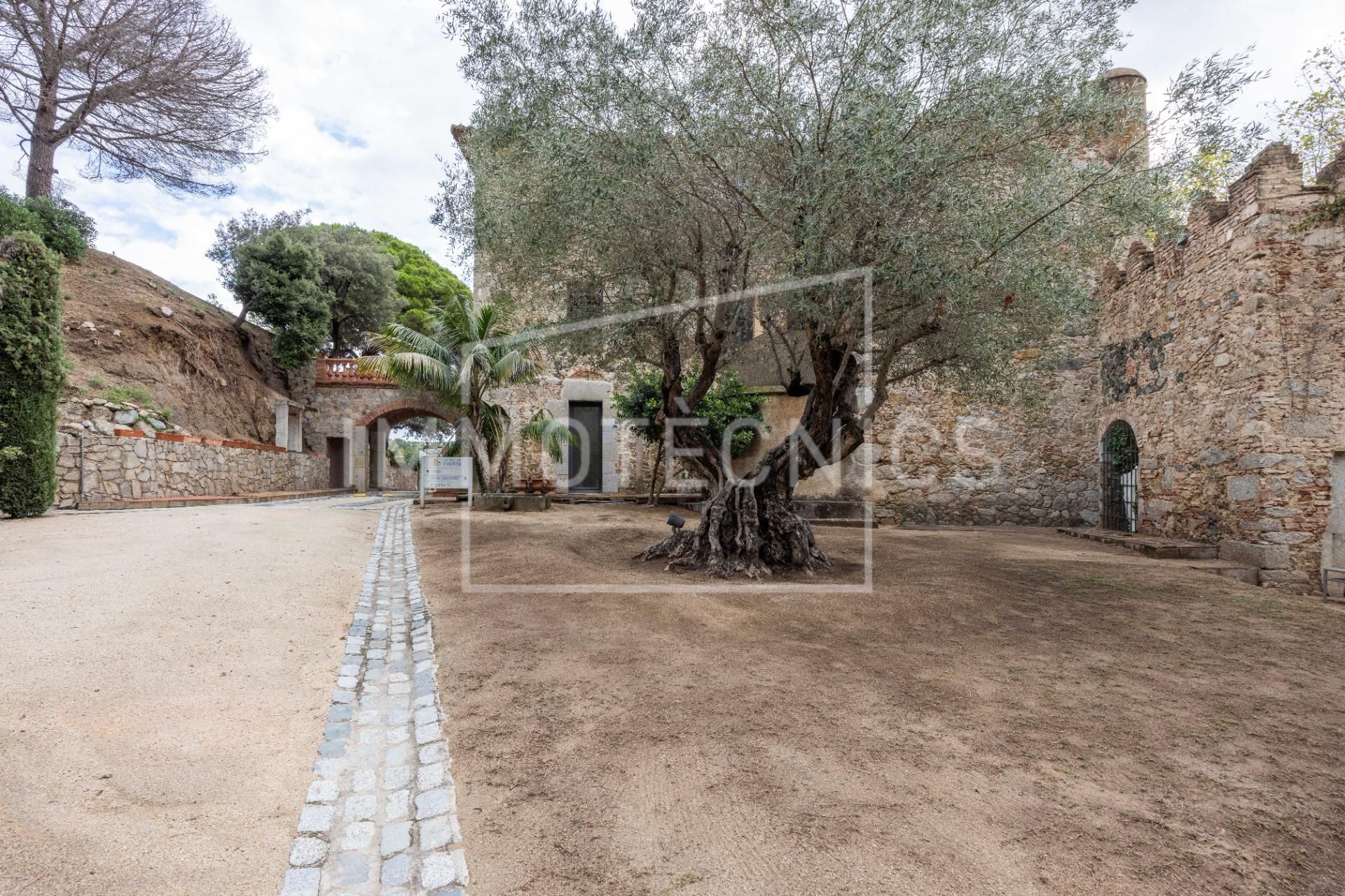 Vista exterior de Finca rústica en venta en Sant Vicenç de Montalt