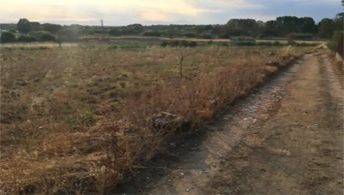 Terreny residencial en venda a El Quinta De La Casa Nova ( Cl Panedes), imagen 17