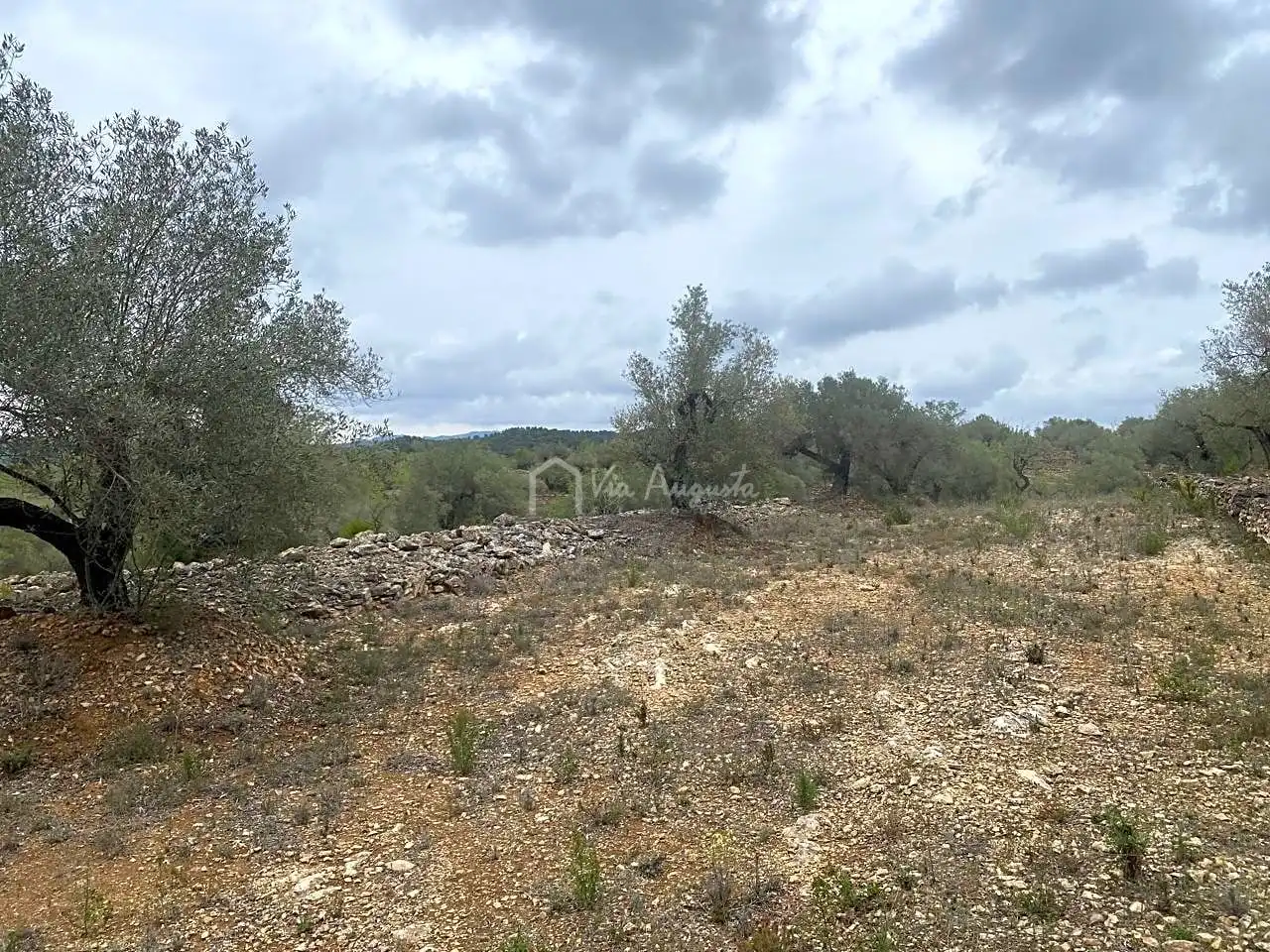 Terreno rustico in vendita a Burga, imagen 10