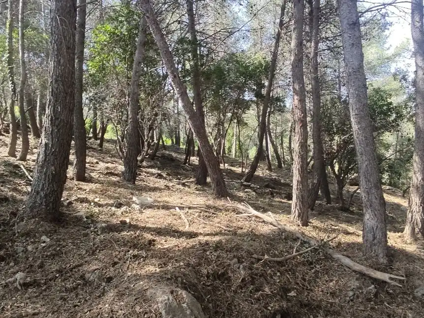 Terreno residencial en venta en Sant Sever 45, imagen 5