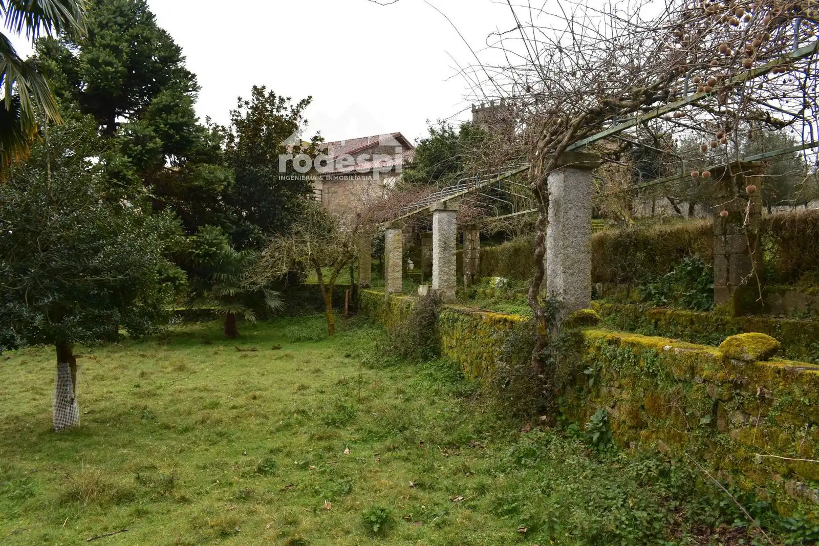 Buildings for sale in Pantón