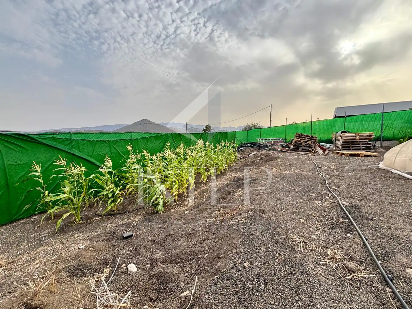 Finca rústica en venda en Las Palmas de Gran Canaria amb Internet