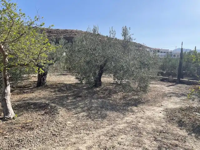 Land for sale in Pechina
