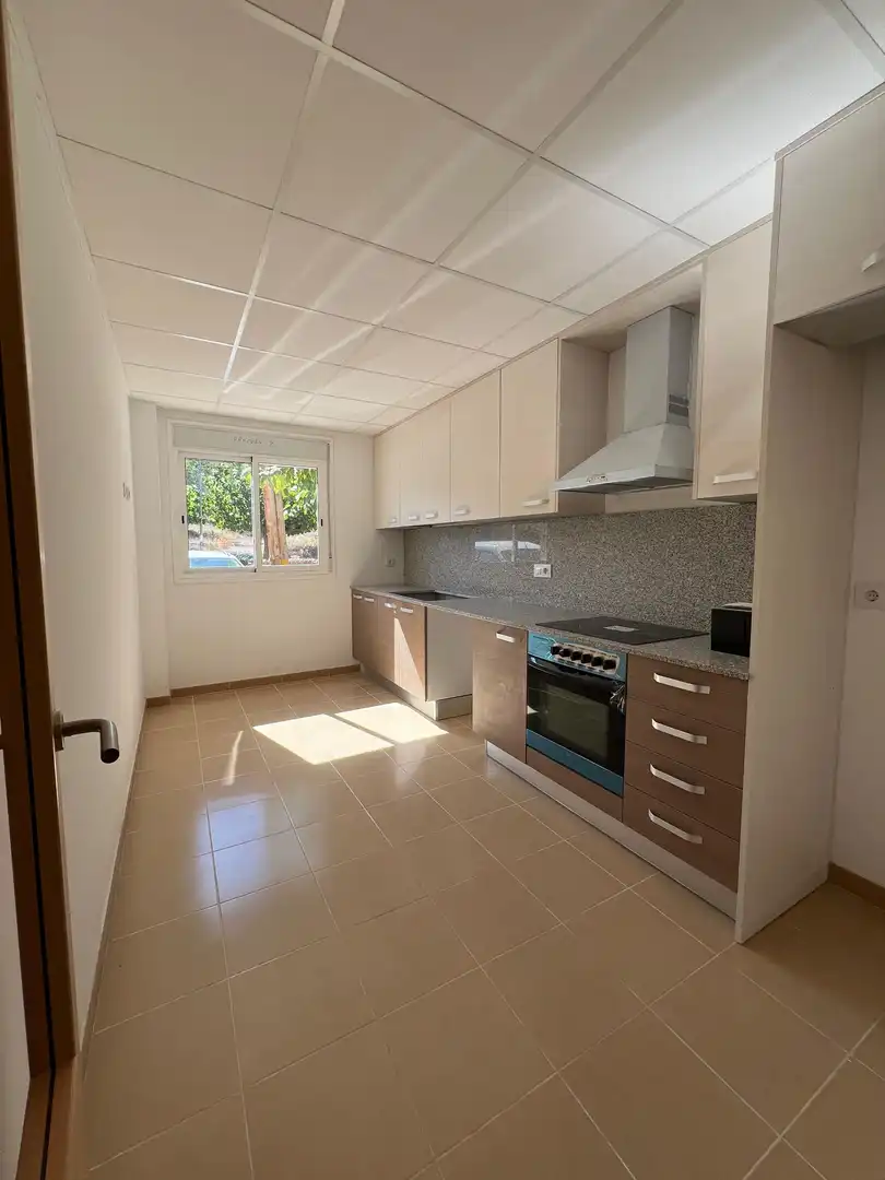 Kitchen of Flat for sale in Aldover  with Terrace