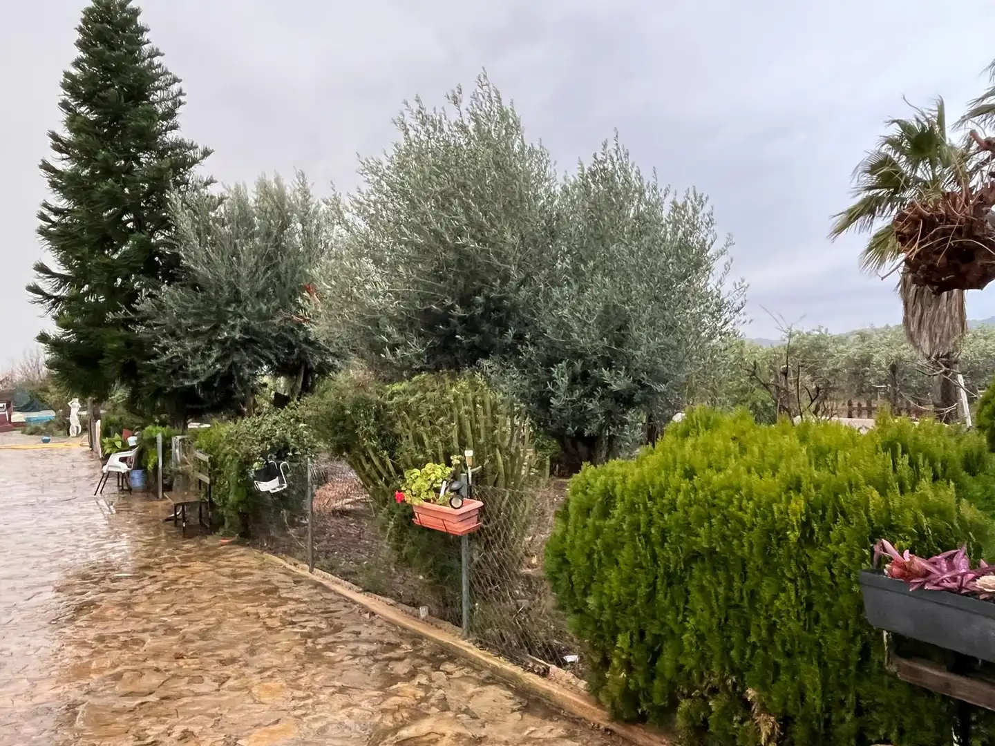 Residential land for sale in Alcalà de Xivert pueblo