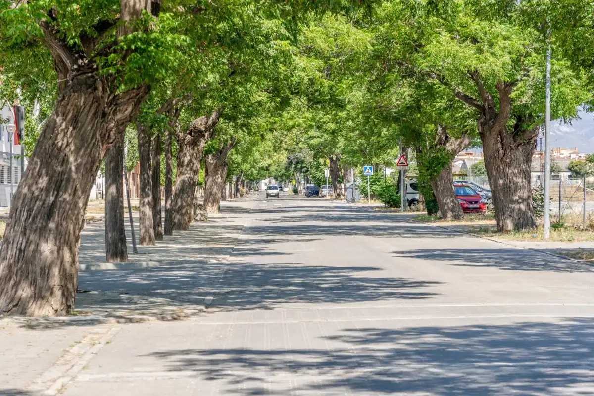 Terreno residenziale in vendita a Santa Fe