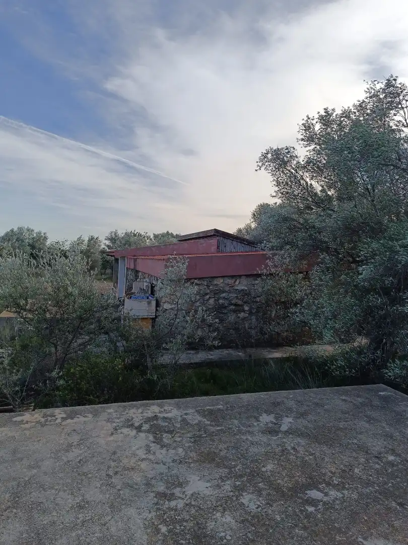 Terreno rustico in vendita a Canet lo Roig, imagen 9