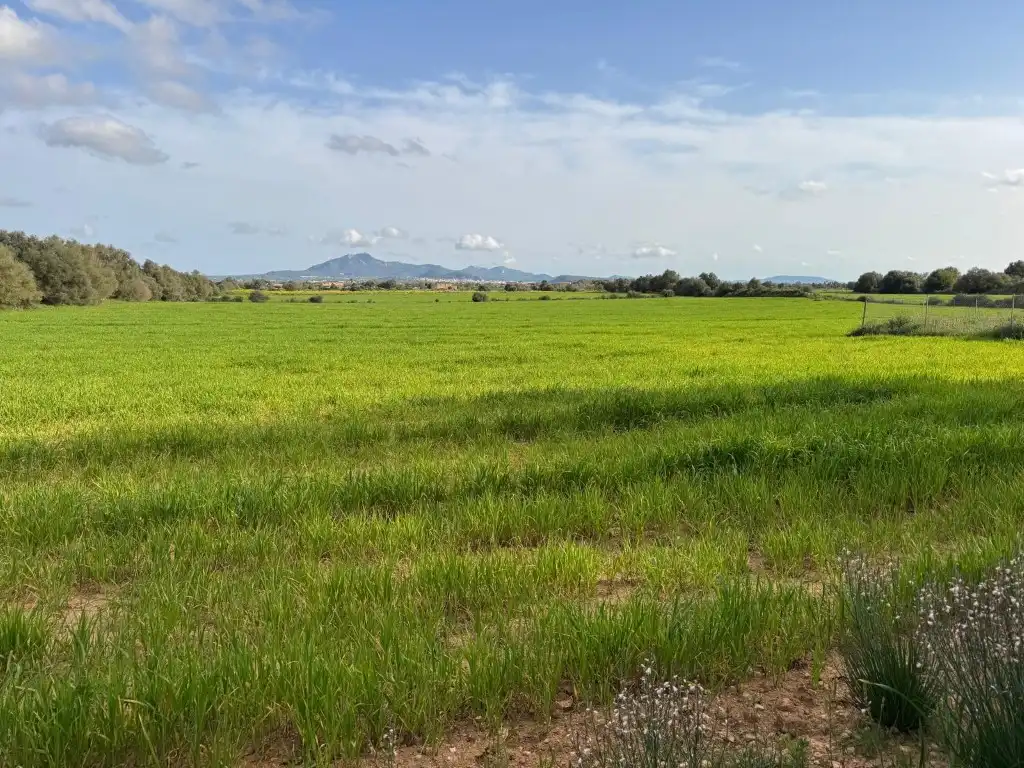 Residential land for sale in S'Horta - Cas Concos des Cavaller - Es Carritxó, imagen 3