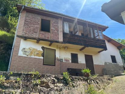 Exterior view of House or chalet for sale in Mieres (Asturias)  with Heating and Terrace