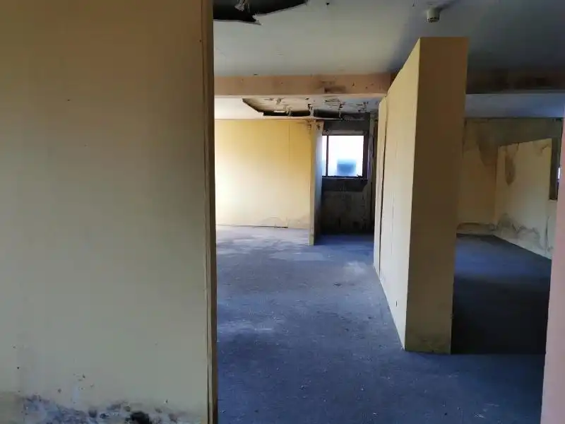 Gewerbefläche zum Verkauf in El Baular, imagen 5