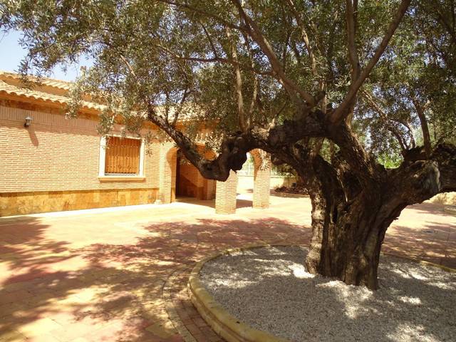 Casa-chalet en Venta en Campos del Río