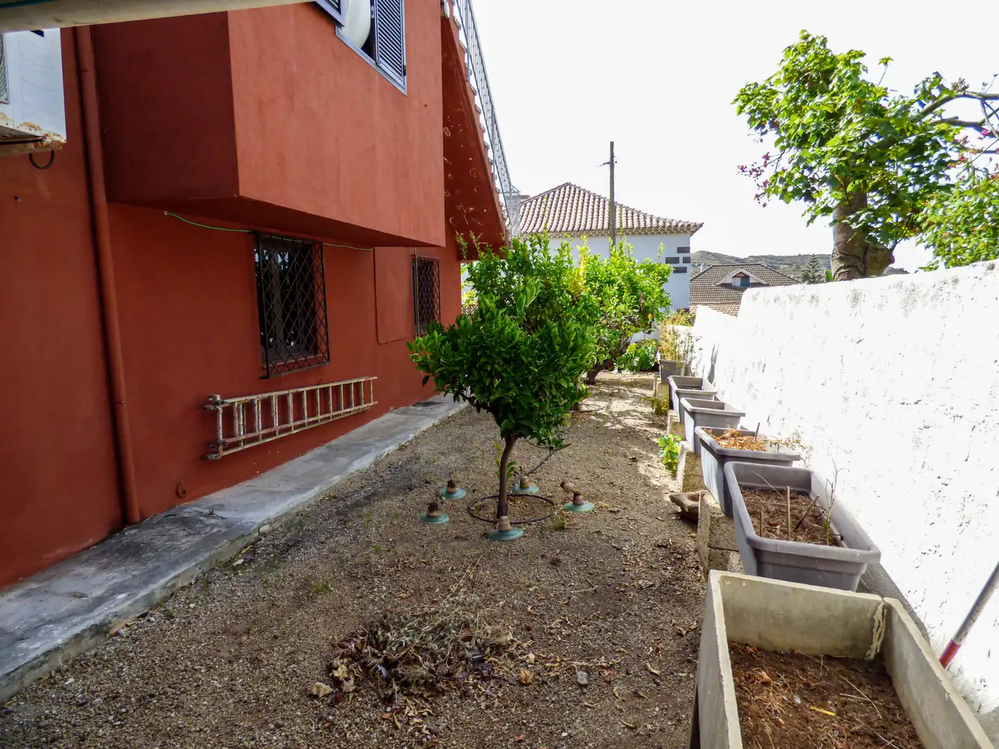 Vista exterior de Casa o xalet en venda en Vega Lagunera