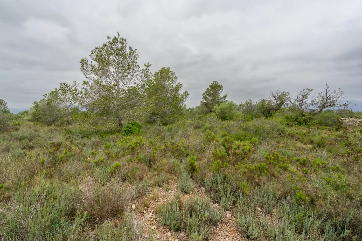 Terrain rustique à vendre à Camí Vell del Cementiri 4, imagen 9