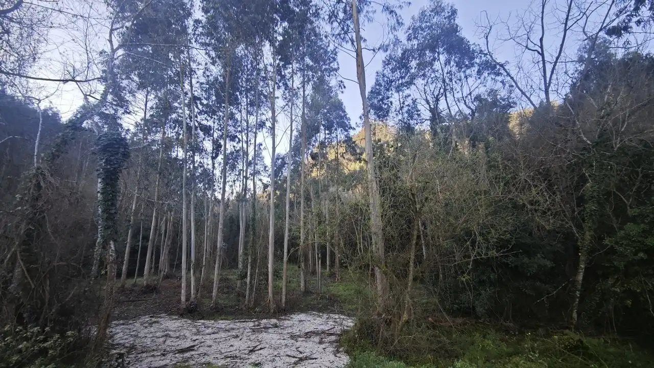 Terreno rustico in vendita a Pría - Nueva-Hontoria - Naves, imagen 10