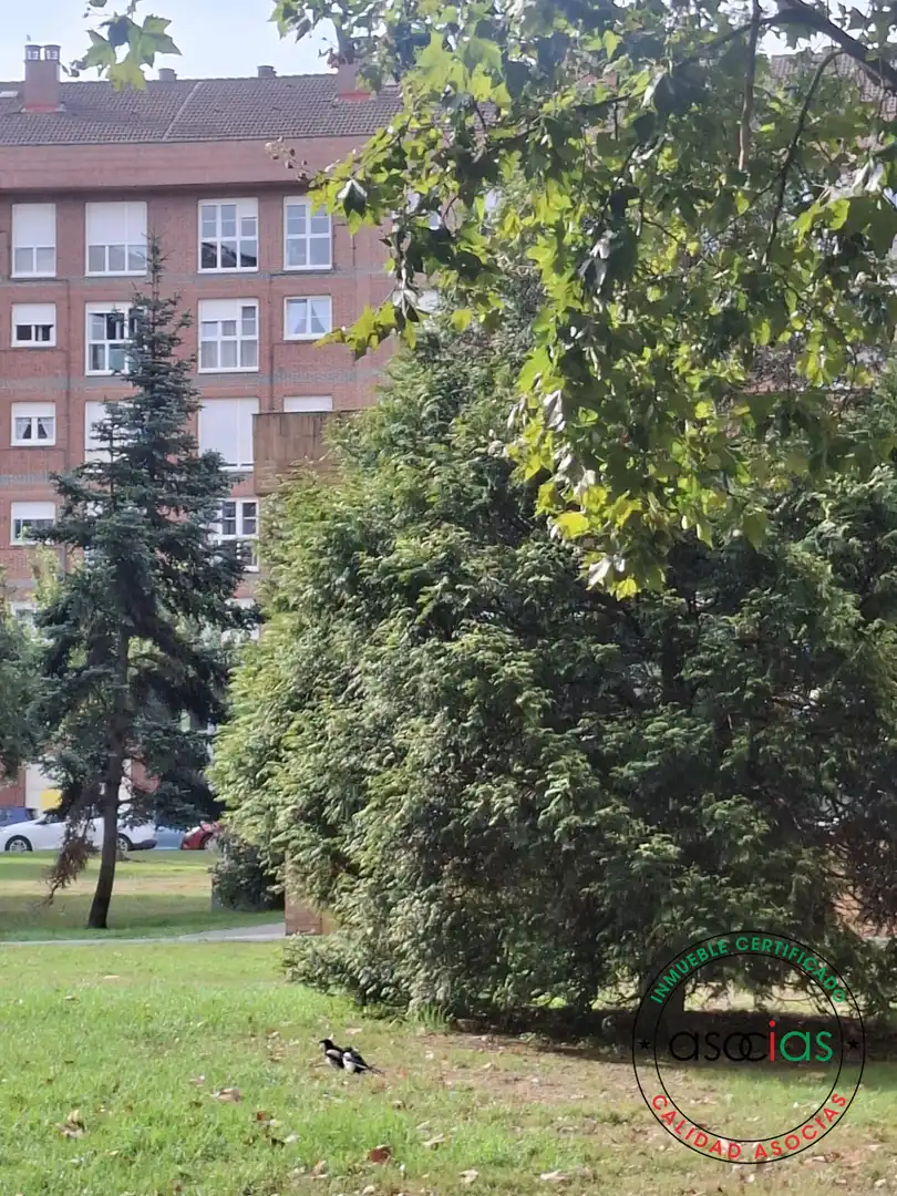Vista exterior de Piso en venta en Gijón  con Calefacción, Parquet y Trastero