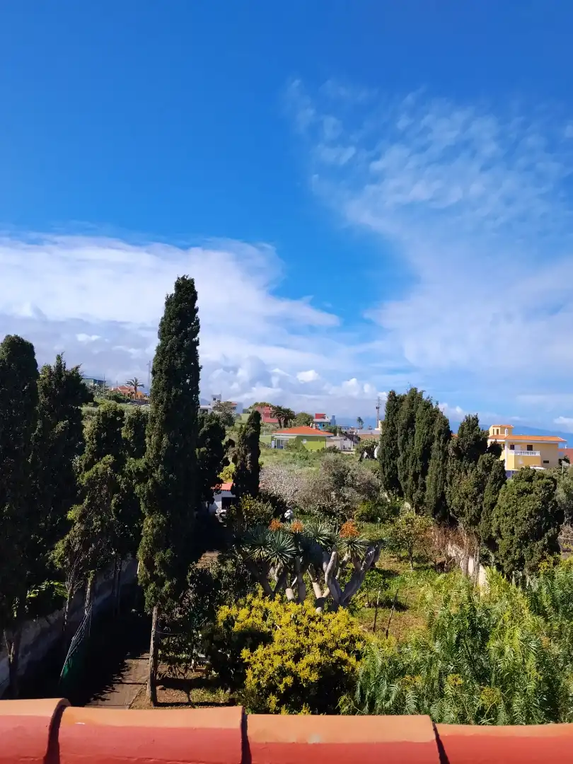 Villa mit Pool zum Verkauf in Camino de la Mina 10, imagen 24