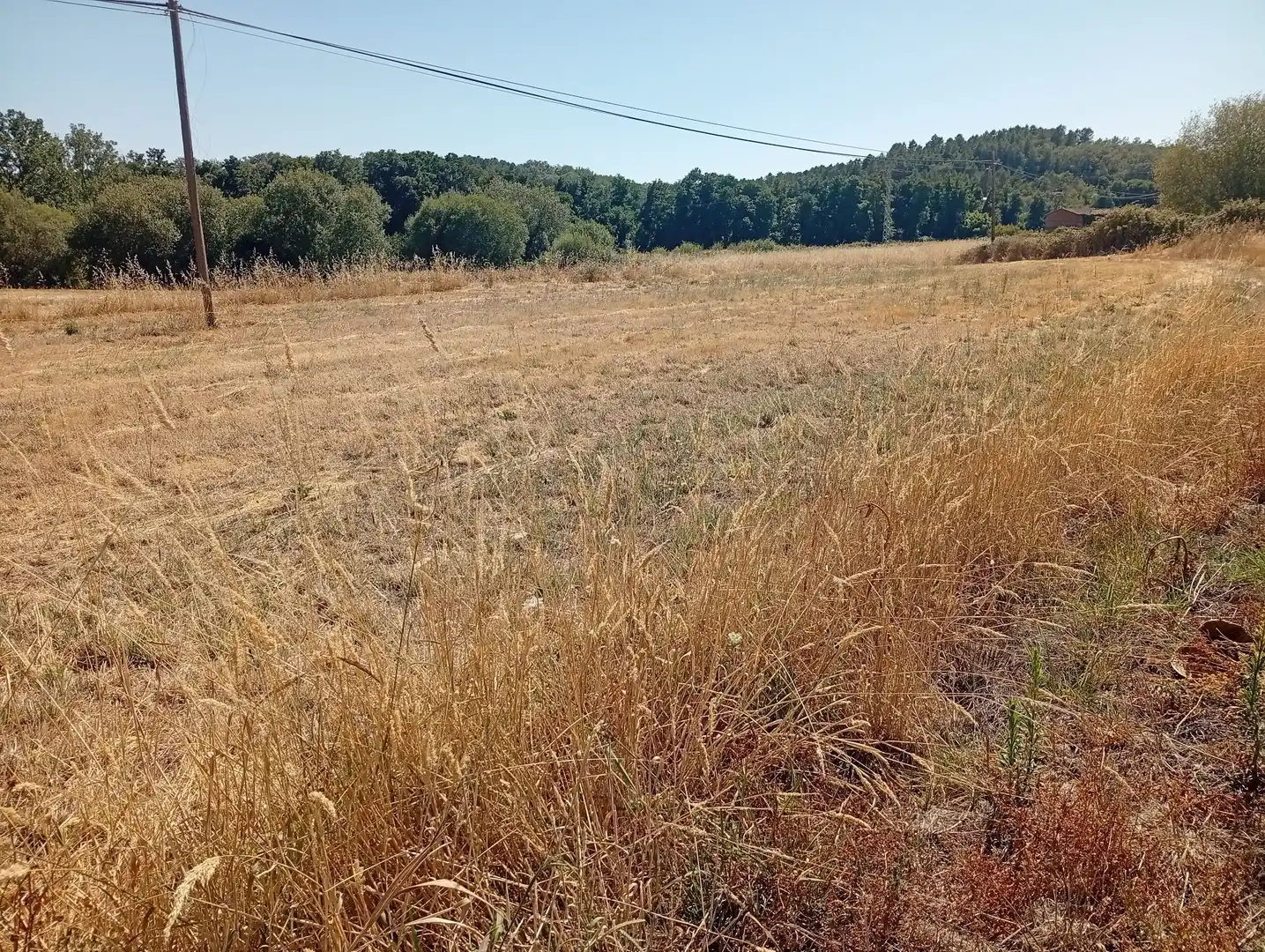 Terreni e lotti in vendita a Villanueva de la Vera, imagen 35
