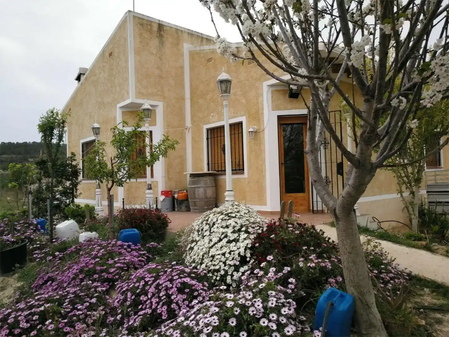 Vista exterior de Pis en venda en Relleu amb Jardí privat i Moblat