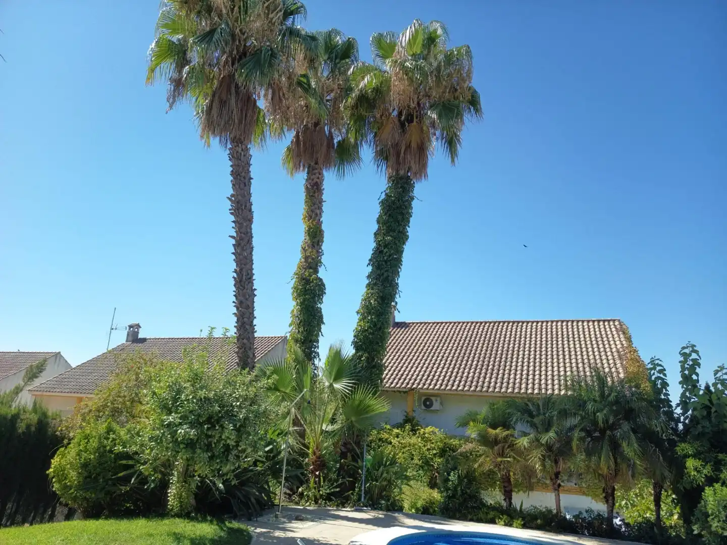Maison avec piscine à vendre à Periurbano Este - Campiña, imagen 59