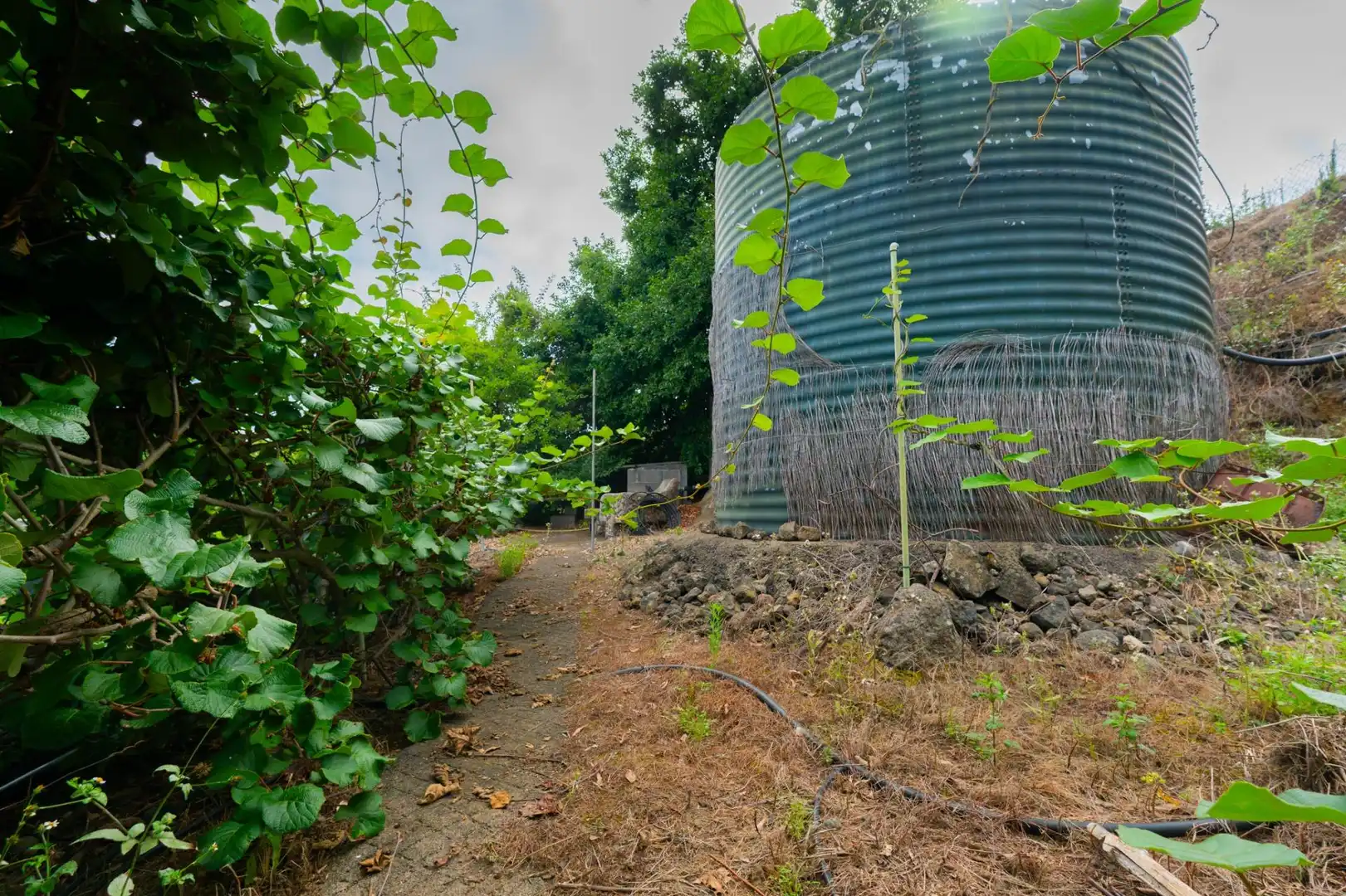 Maison rustique avec jardin à vendre à La Perdoma - San Antonio - Benijos, imagen 27