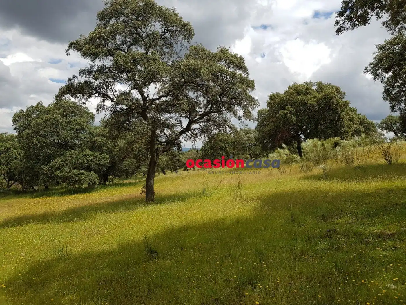 Finca rústica en venta en Torrecampo