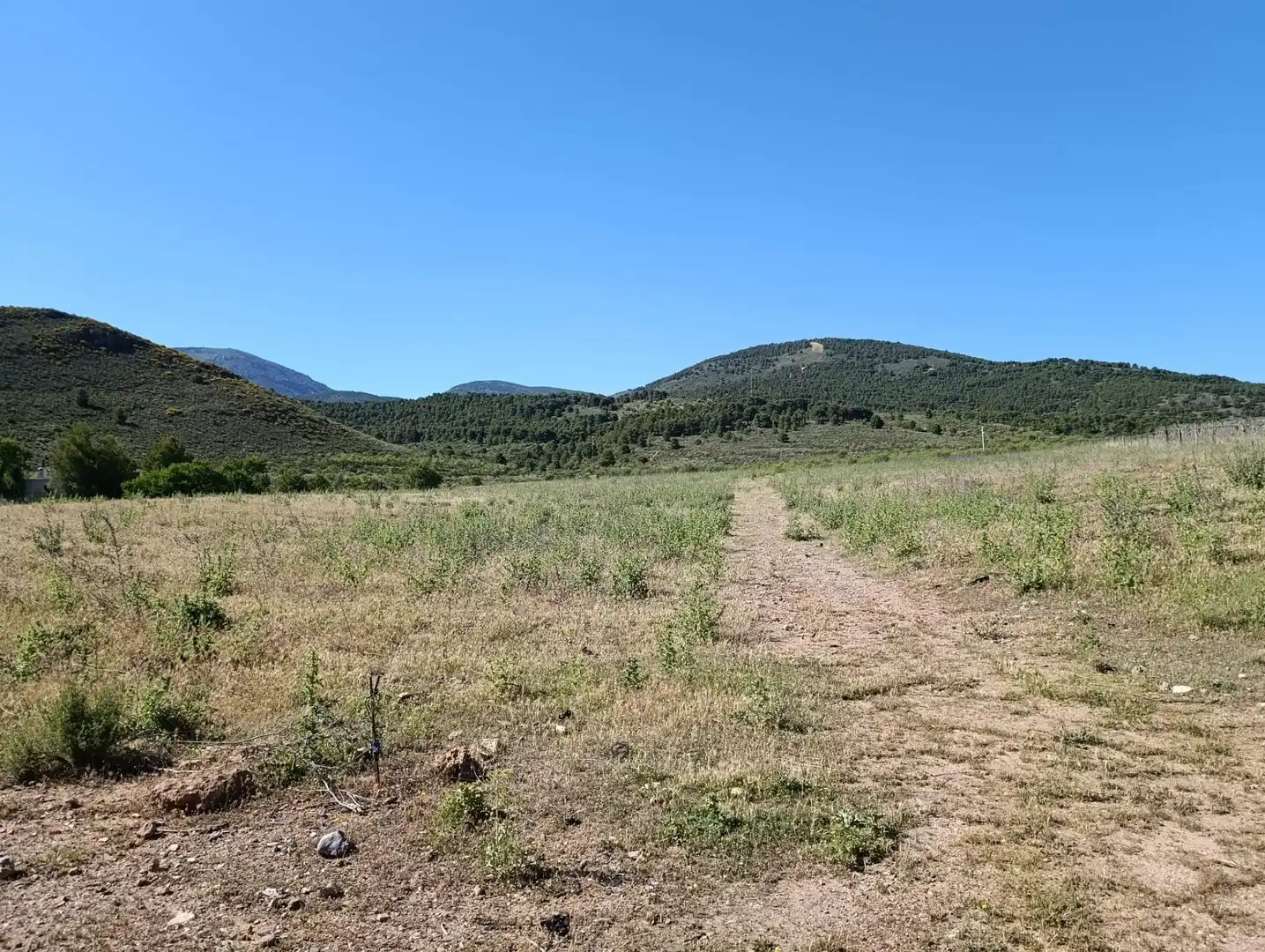 Rural land for sale in Laujar de Andarax, imagen 25