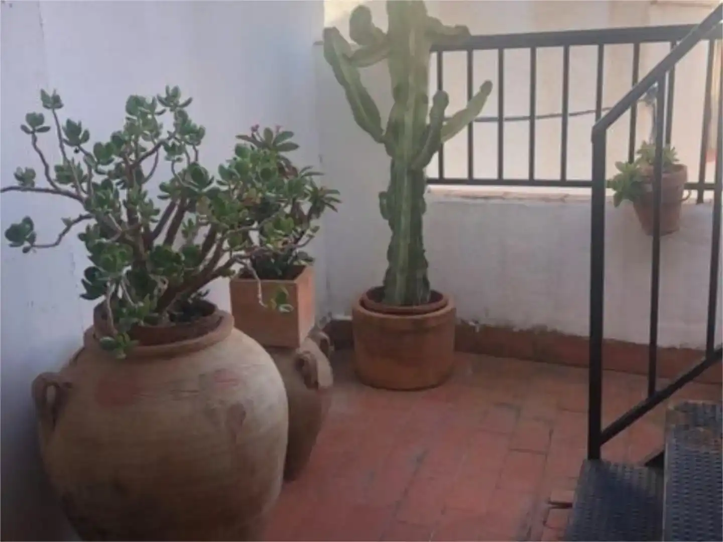 Terrasse von Wohnung zur Miete in Bédar mit Möbliert