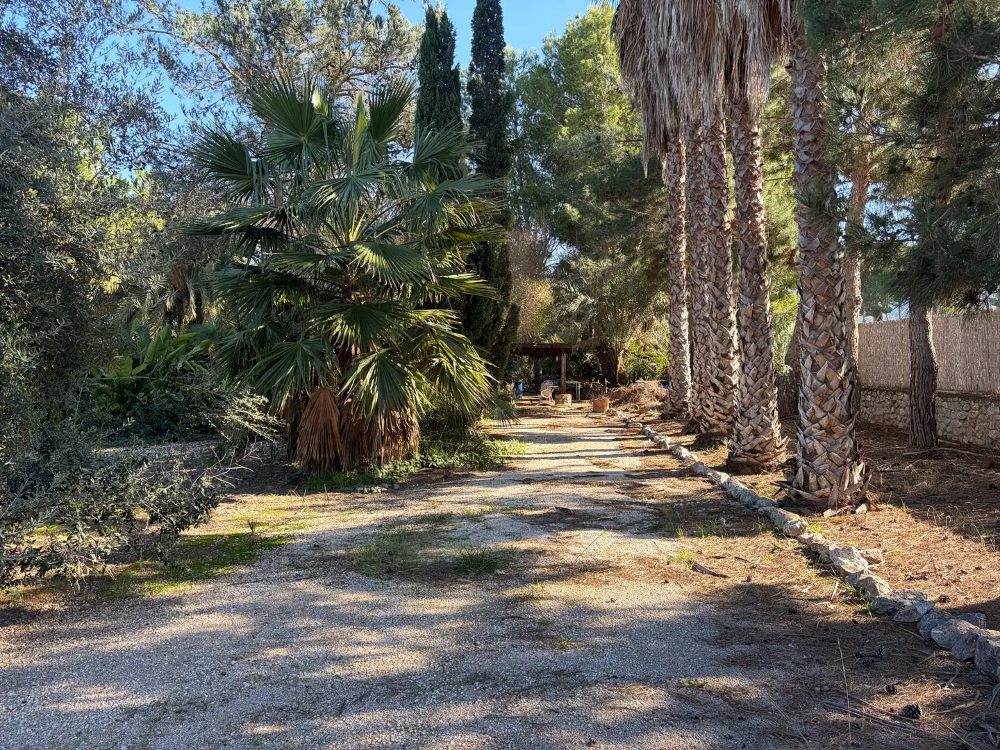 Lands and plots for sale in Abanilla, imagen 34