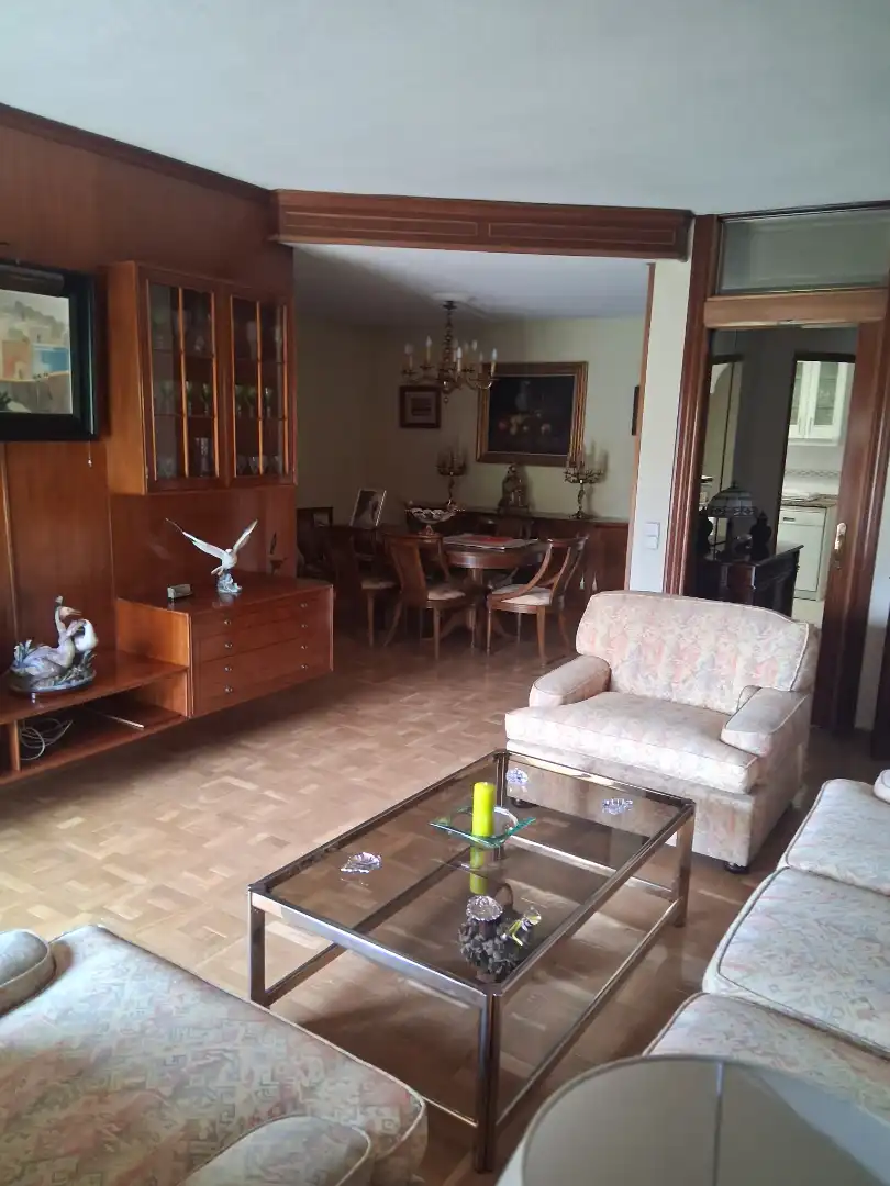 Wohnzimmer von Wohnung zum Verkauf in Madrid mit Heizung, Parkett und Ofen