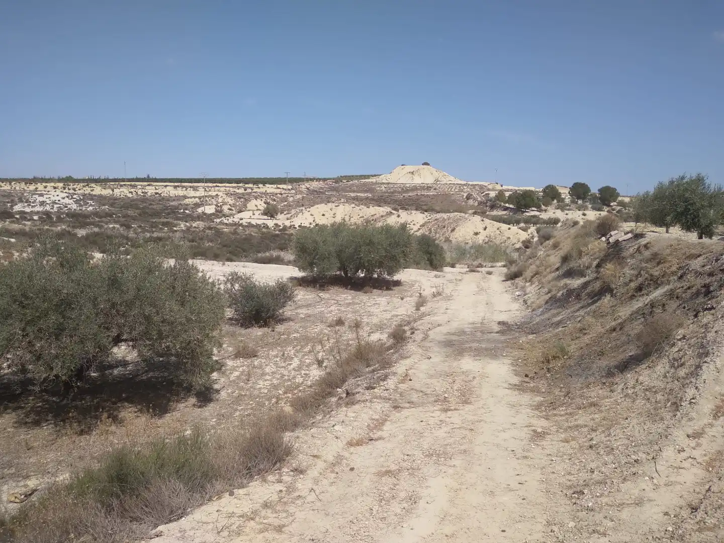 Terreni e lotti in vendita a Campos del Río, imagen 17