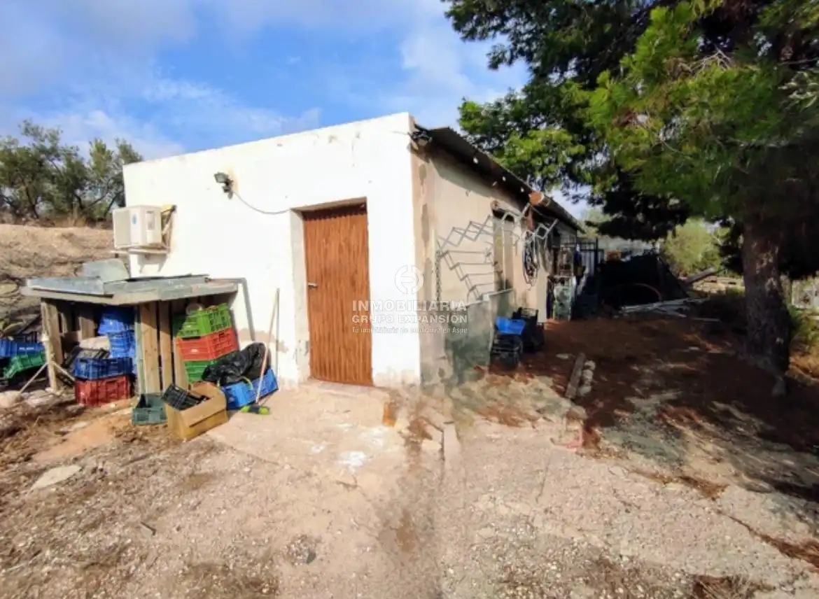 Vista exterior de Casa o xalet en venda en Aspe amb Aire condicionat, Calefacció i Jardí privat