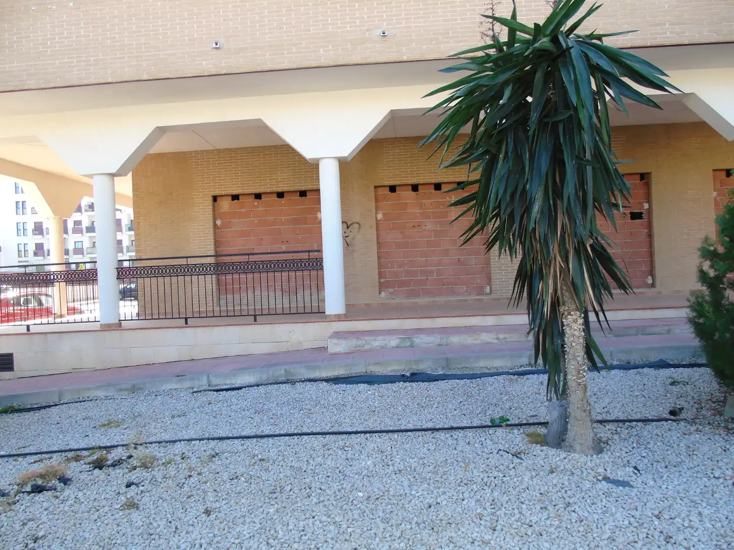Vista exterior de Local en venta en Villanueva del Río Segura