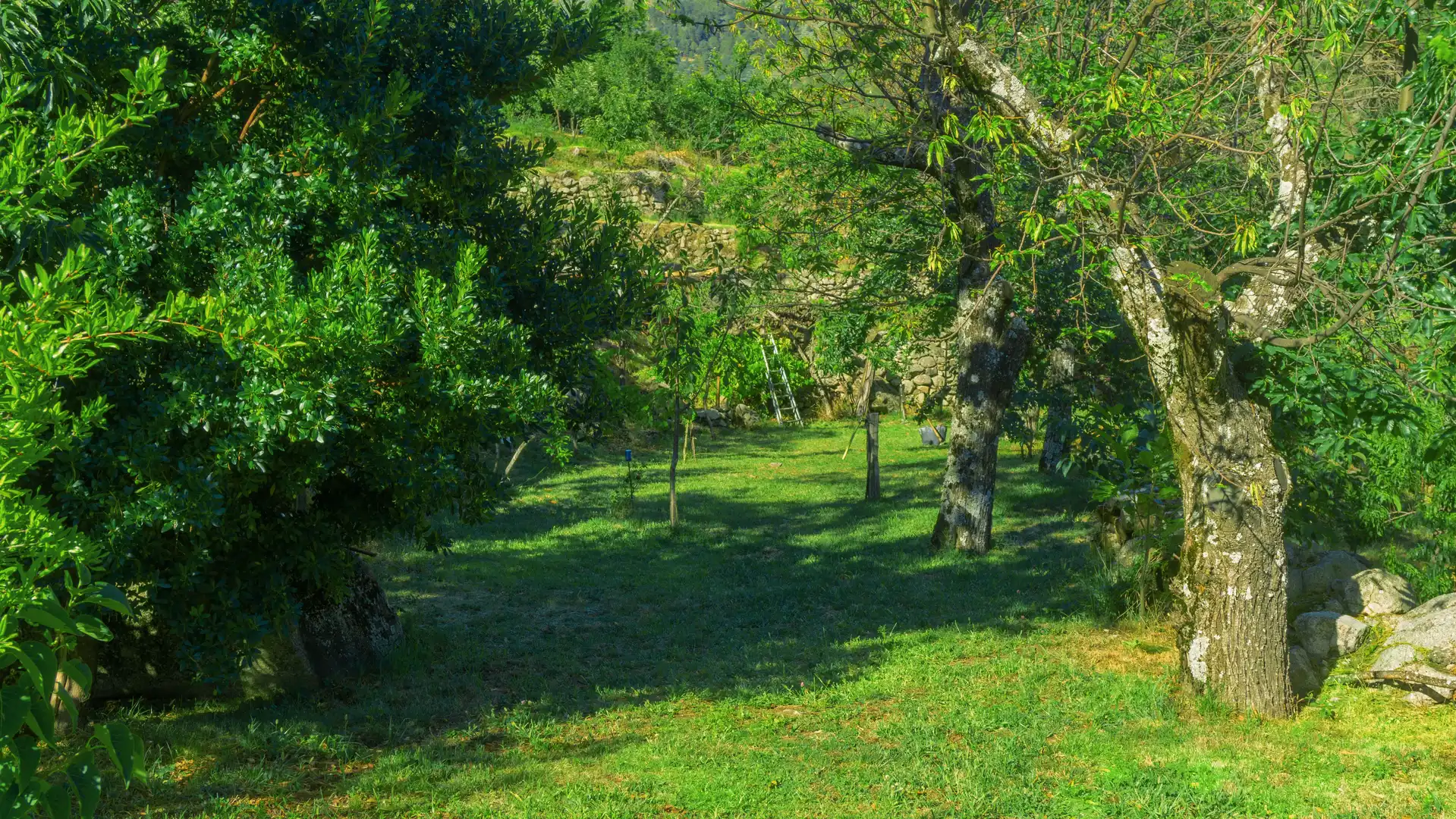 Casa o xalet en venda en El Hornillo 