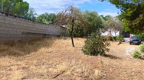 ​🏡 ¡OPORTUNIDAD ÚNICA EN BOROX! PARCELA URBANA DE 733 M² PARA CONSTRUIR LA VIVIENDA DE TUS SUEÑOS 🏡, immagine 3