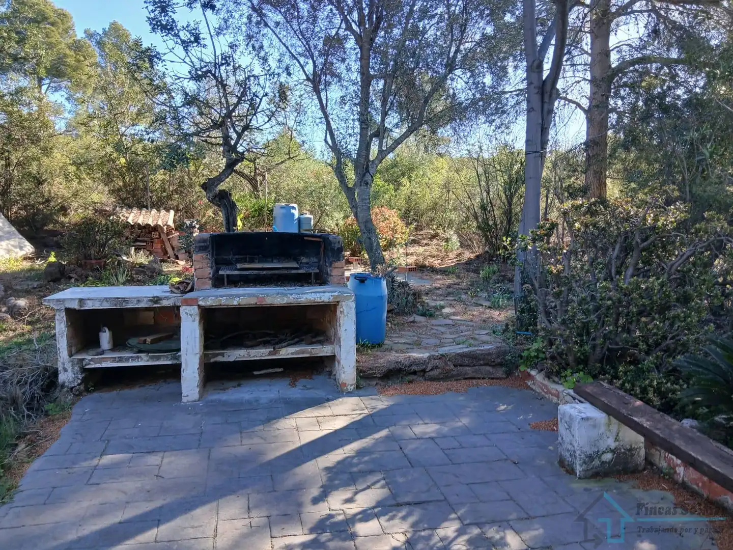 Jardín de Casa o chalet en venta en Alfara de la Baronia con Terraza