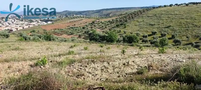 Terreni e lotti in vendita a Huétor Vega