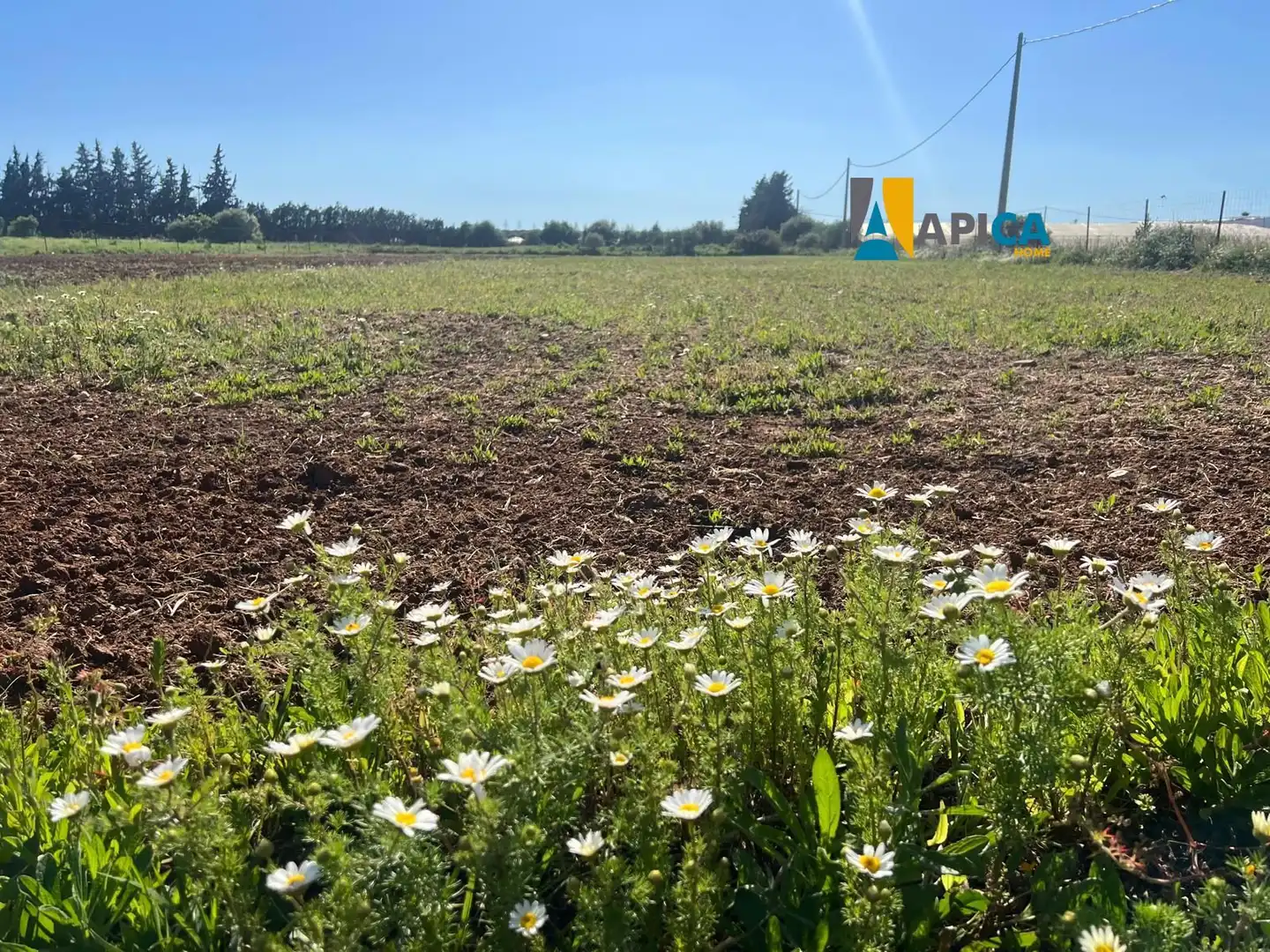 Terreno en venta en Conil de la Frontera