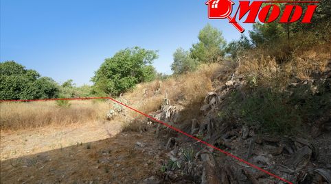 Se vende parcela rústica de 528 m en la localidad de Padul, Granada, immagine 2