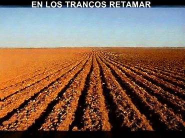 Rural land for sale in Carretera de Níjar a Retamar 42