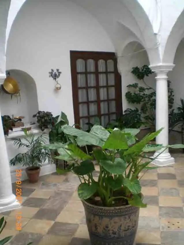 Jardí de Casa o xalet en venda en Arcos de la Frontera amb Aire condicionat, Terrassa i Traster