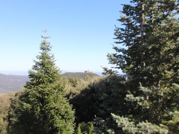 Terreno residencial en venta en Arbúcies