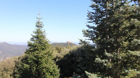 PARCELA EN VENTA EN FOGUERES DE MONTSORIU CON GRAN JARDIN CON GALLINEROS Y CUADRAS DE ANIMALES. SE ESCUCHAN OFERTAS!!!, immagine 2