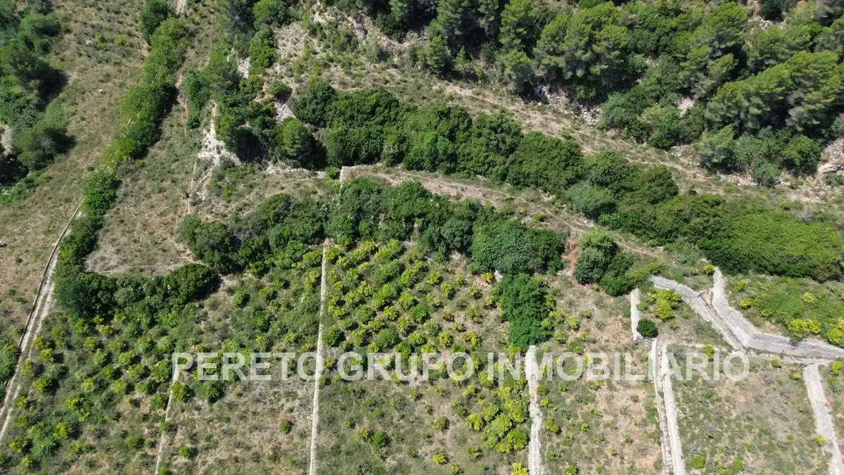 Terreno residencial en venta en Oliva pueblo, imagen 5